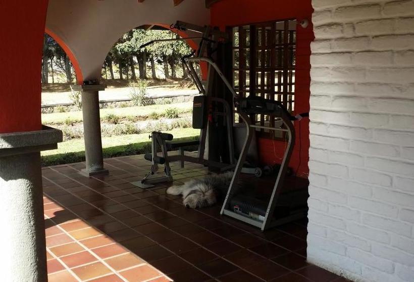 هاستل Hosteria San Carlos Tababela