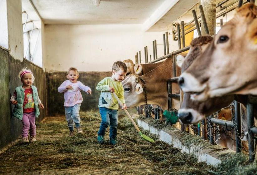 בית מלון כפרי Linharterhof