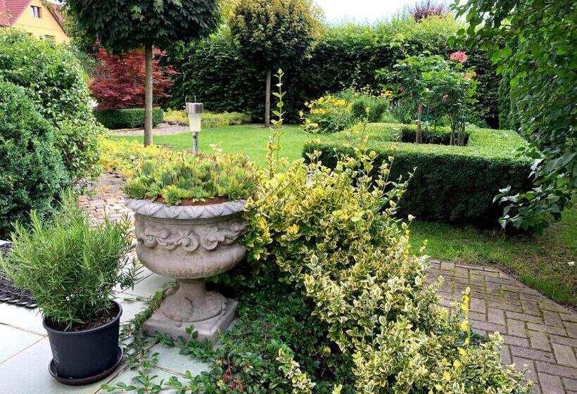 بنسيون Casa Petri