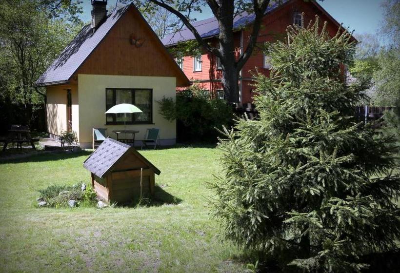 פנסיון Guest House šampētera Māja