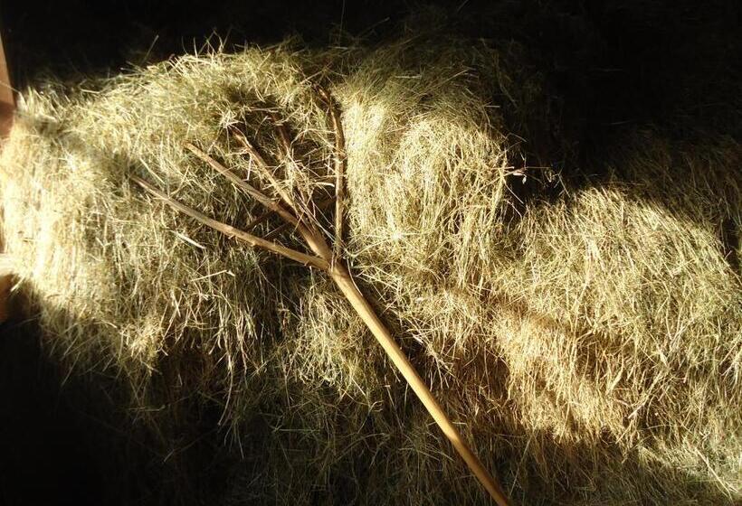 Pension Greimelbacherhof