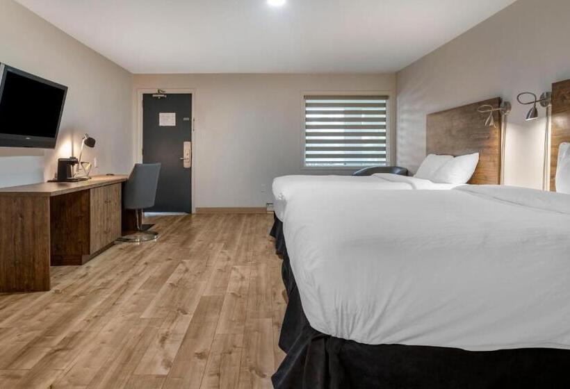 هاستل Dannys Hotel Suites; Surestay Collection By Best Western