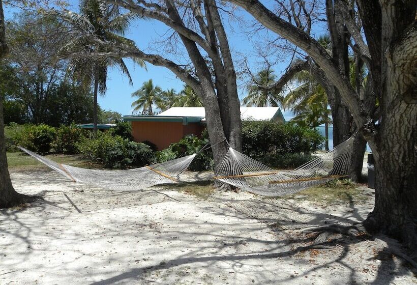 호스텔 Rock Reef Resort