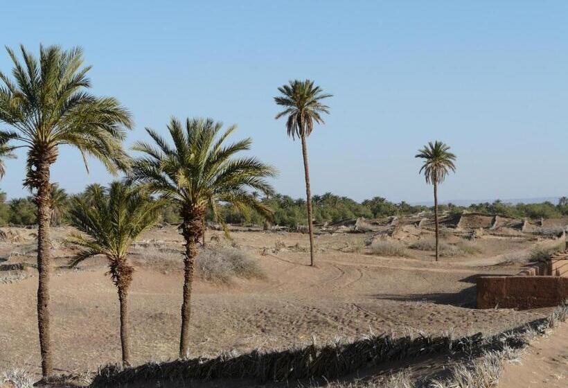 تختخواب و صبحانه Dar Nakhla   Zagora Guest House