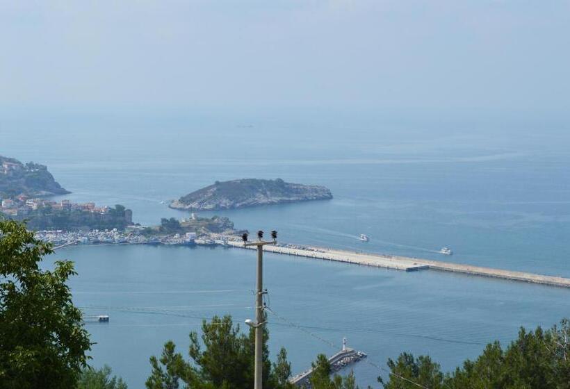 بنسيون Amasra Ceylin Otel