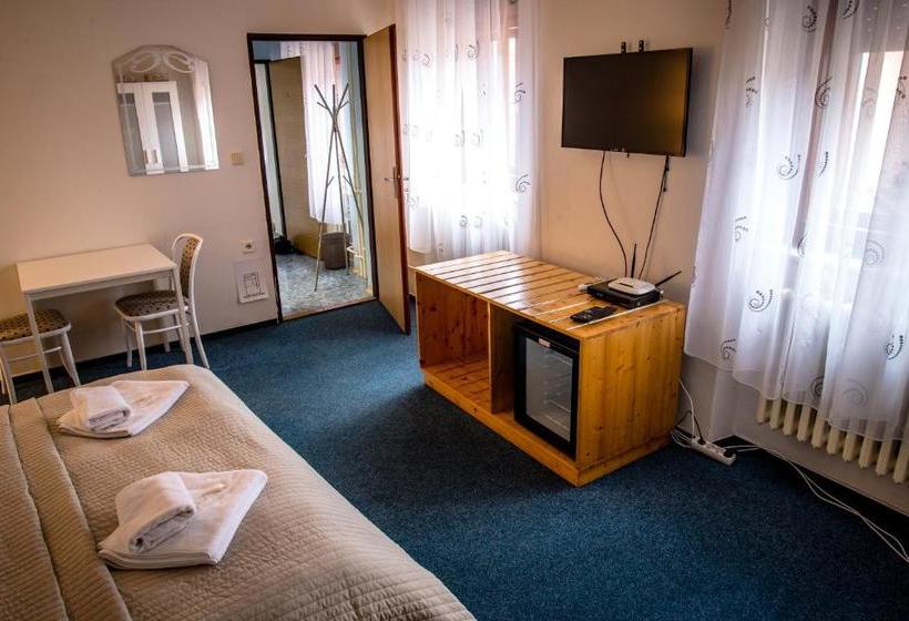 پانسیون U Dómu Sv. Václava