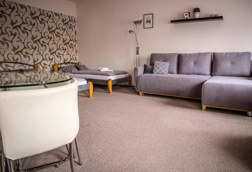 پانسیون U Dómu Sv. Václava