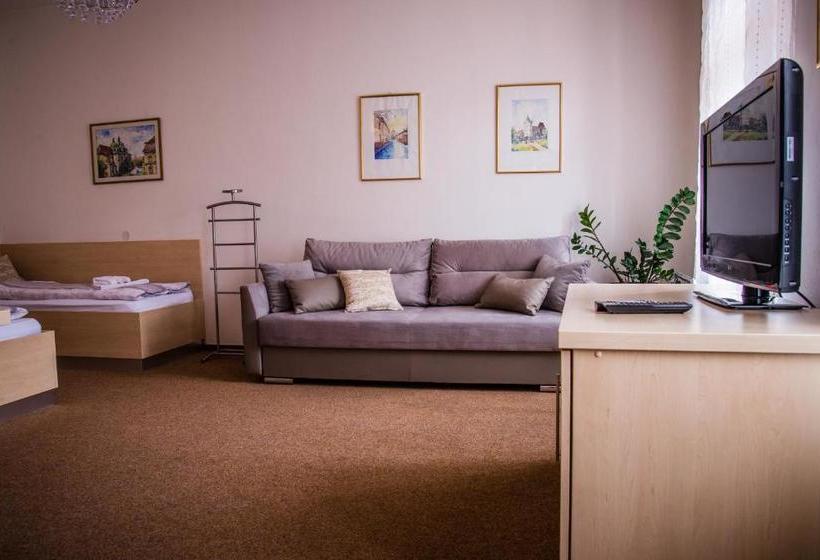 پانسیون U Dómu Sv. Václava