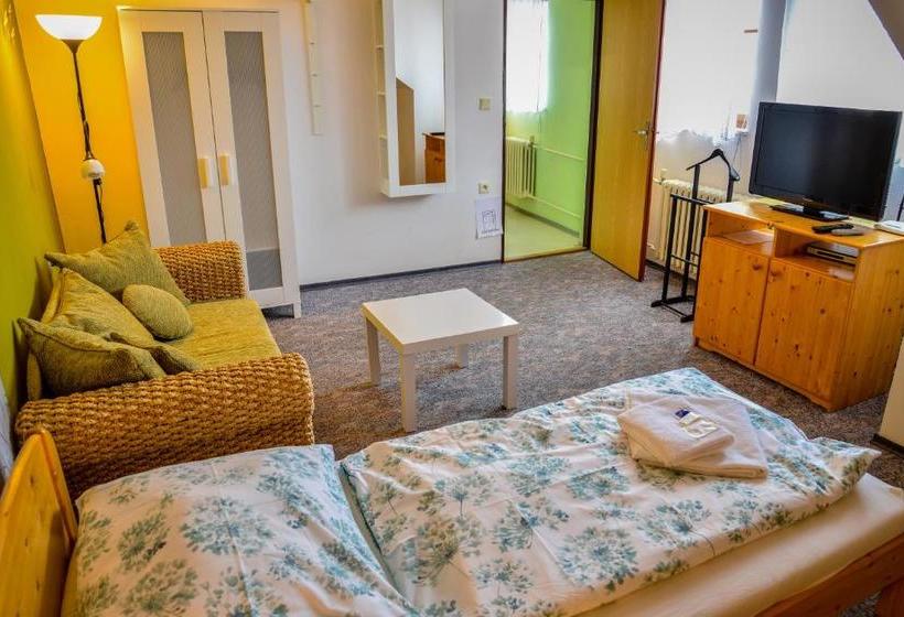 پانسیون U Dómu Sv. Václava