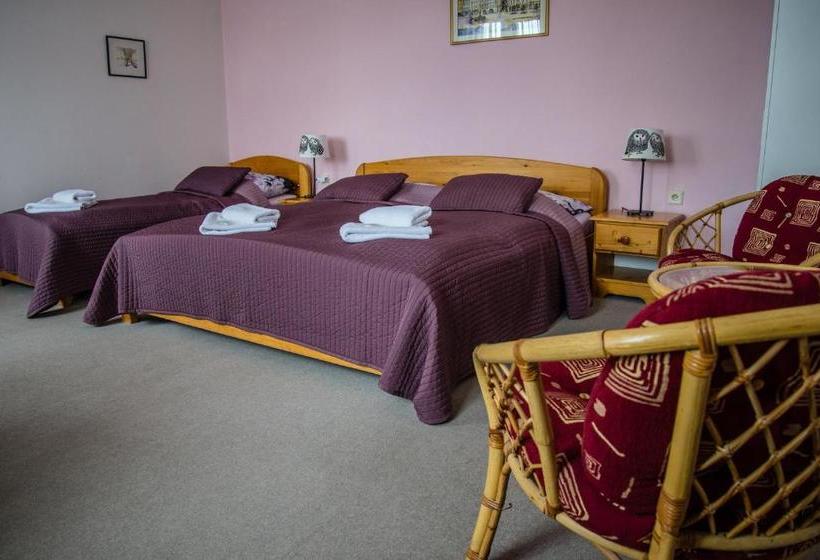 پانسیون U Dómu Sv. Václava