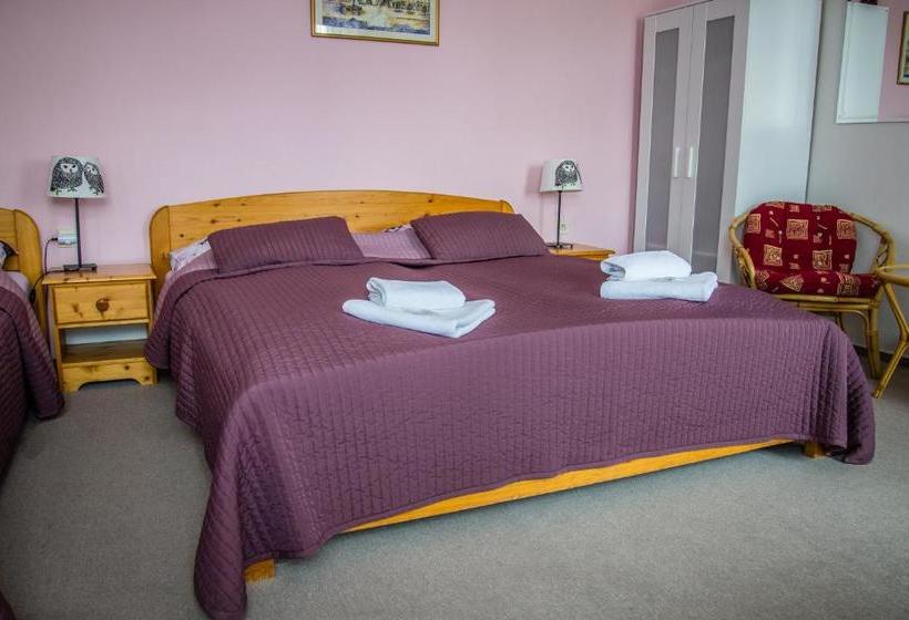 پانسیون U Dómu Sv. Václava