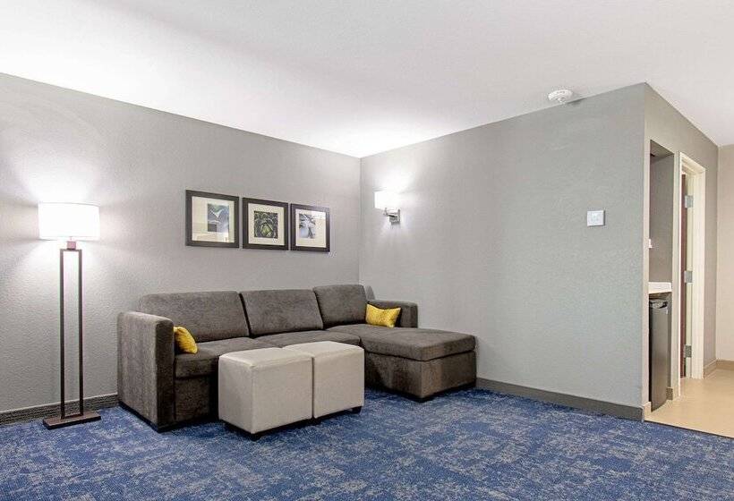هتل Comfort Suites Humble Houston Iah
