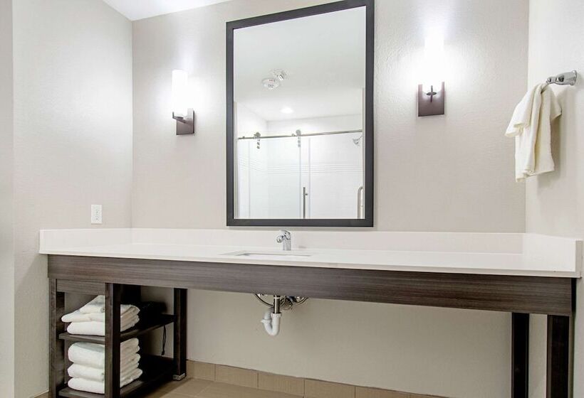 هتل Comfort Suites Humble Houston Iah