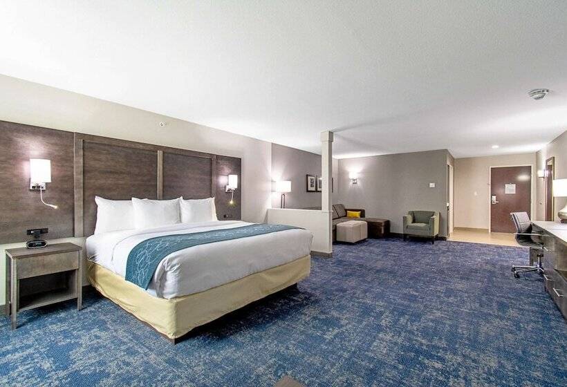 هتل Comfort Suites Humble Houston Iah