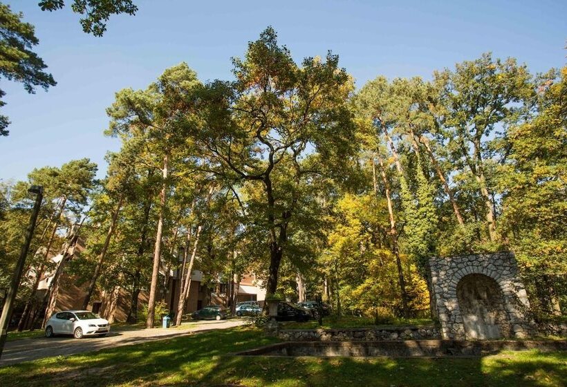 Fotos del hotel Wolski:  48