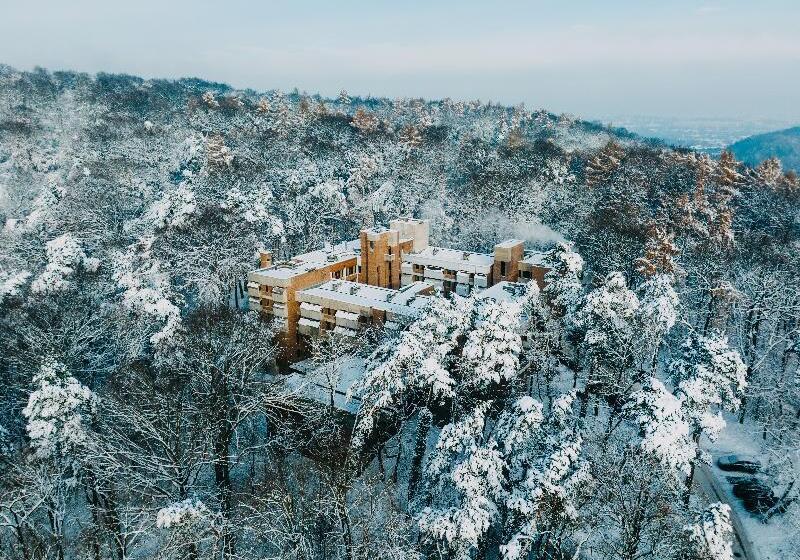 Fotos del hotel Wolski:  34