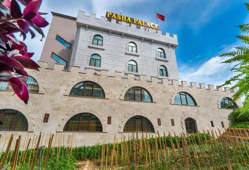 Fotos del hotel Pasha Palace:  48