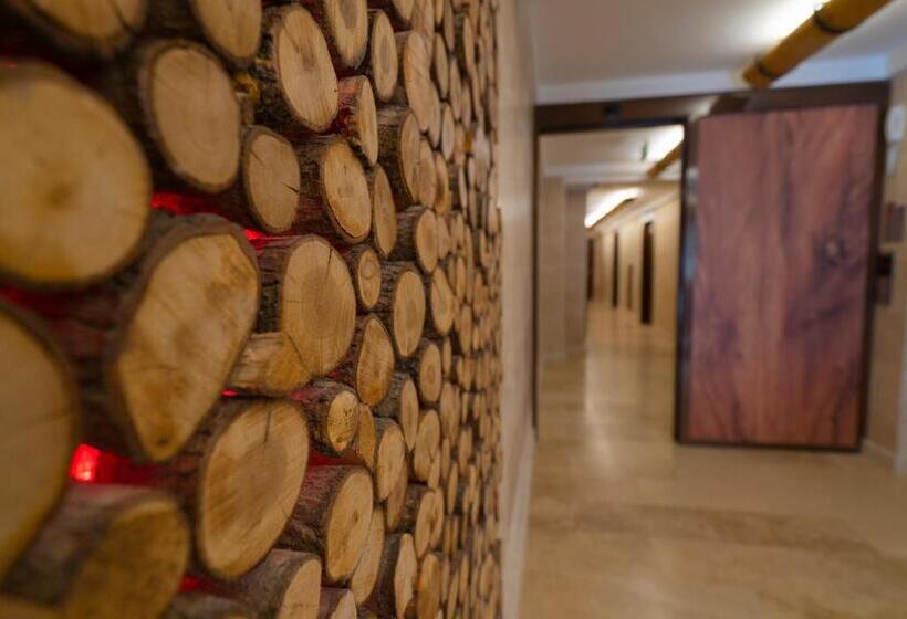 Fotos del hotel Pasha Palace:  27