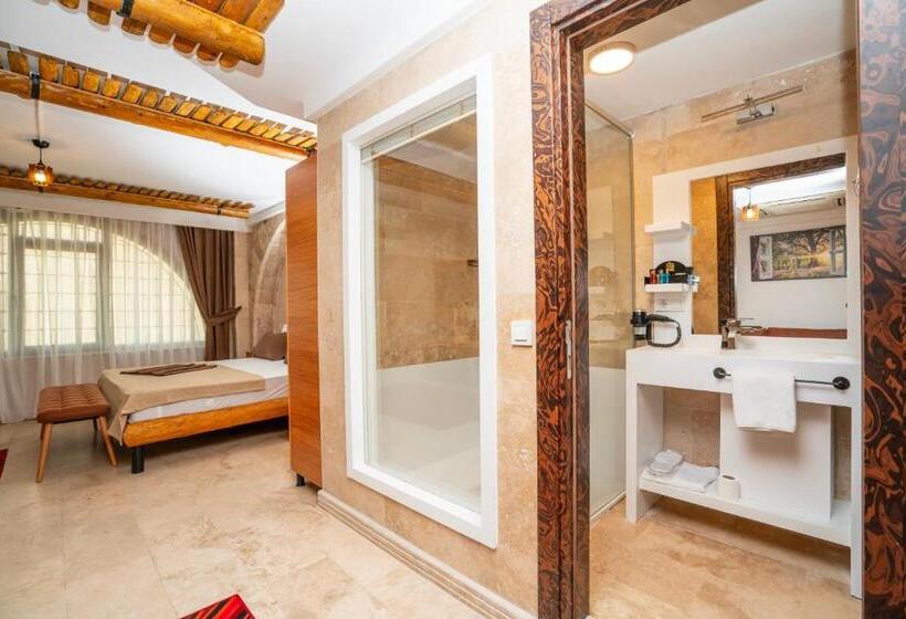 Fotos del hotel Pasha Palace:  39