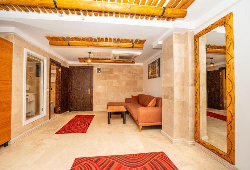 Fotos del hotel Pasha Palace:  35