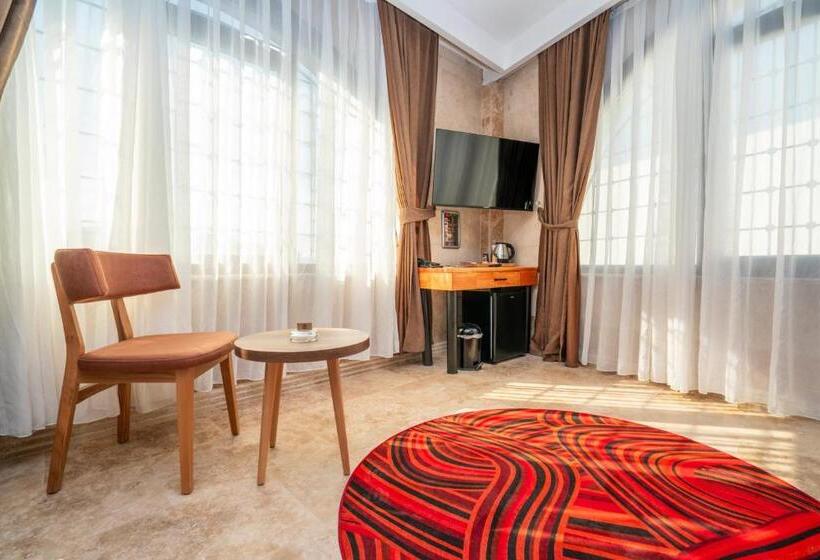 Fotos del hotel Pasha Palace:  9