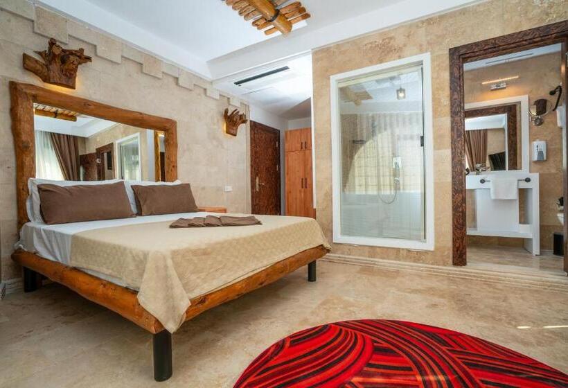 Fotos del hotel Pasha Palace:  13