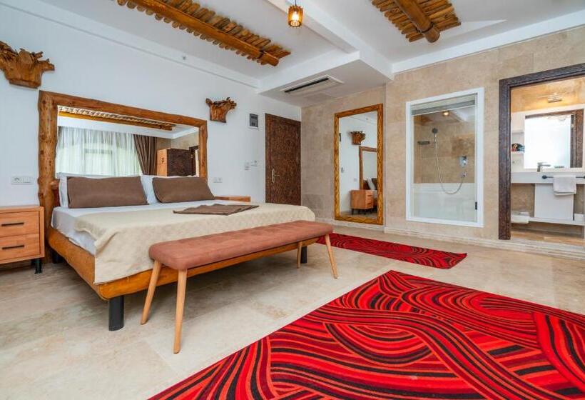 Fotos del hotel Pasha Palace:  47