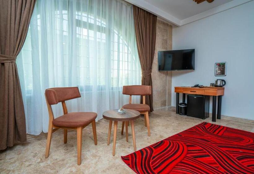 Fotos del hotel Pasha Palace:  45