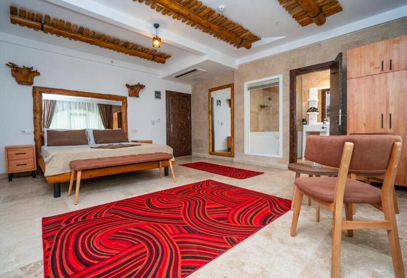 Fotos del hotel Pasha Palace:  44