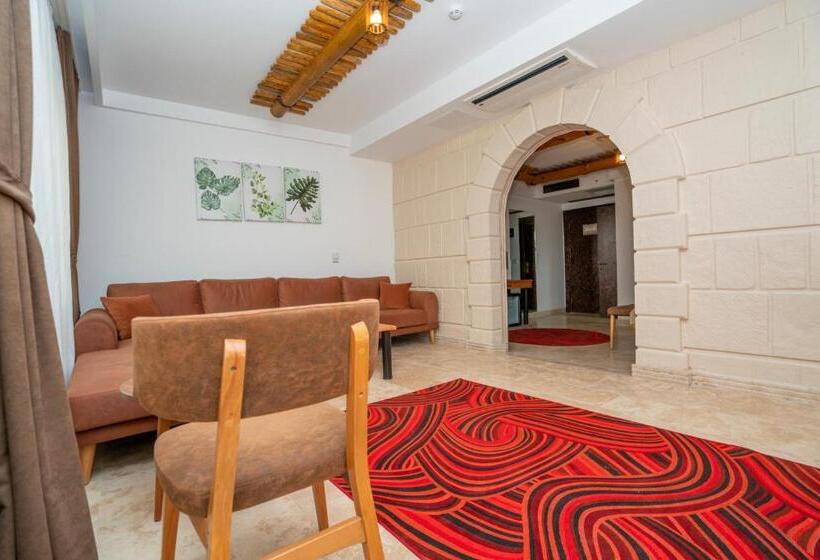 Fotos del hotel Pasha Palace:  49