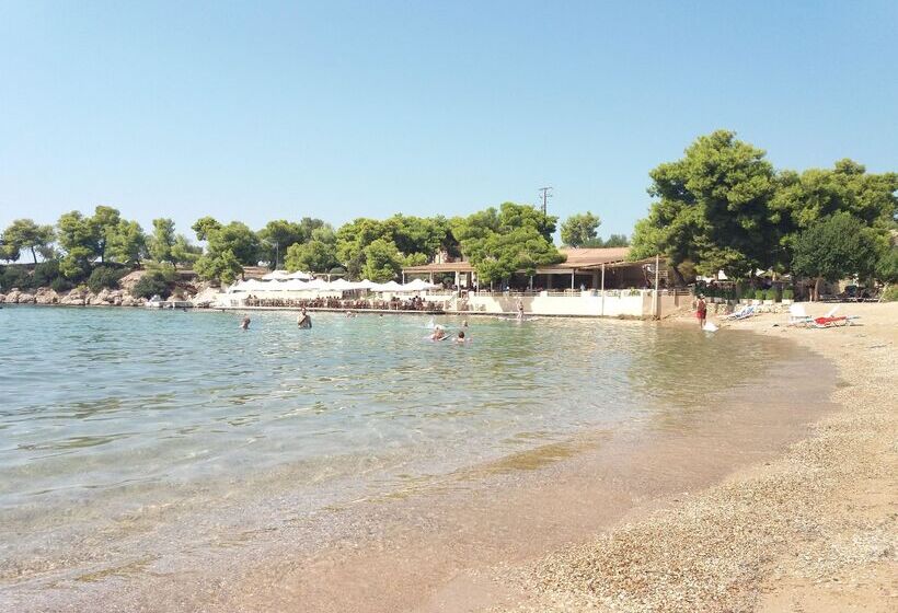 هتل Sunny Place Resort