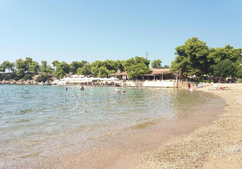 هتل Sunny Place Resort