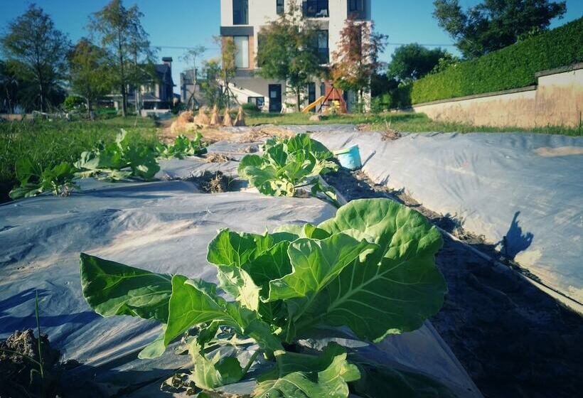 تختخواب و صبحانه Wo Club Hall