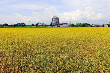 تختخواب و صبحانه Wudai Homestay