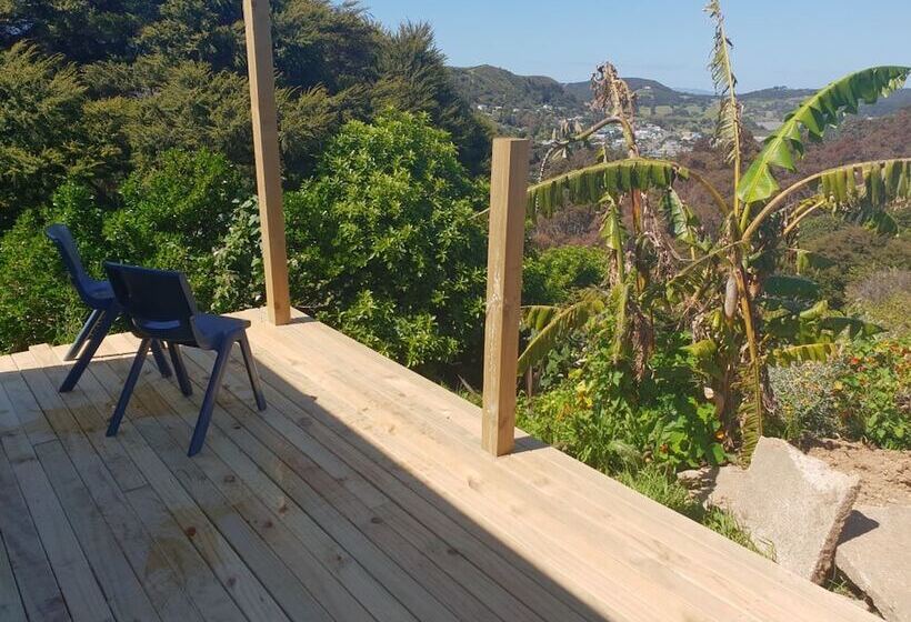 客栈  Wild Days Accommodation