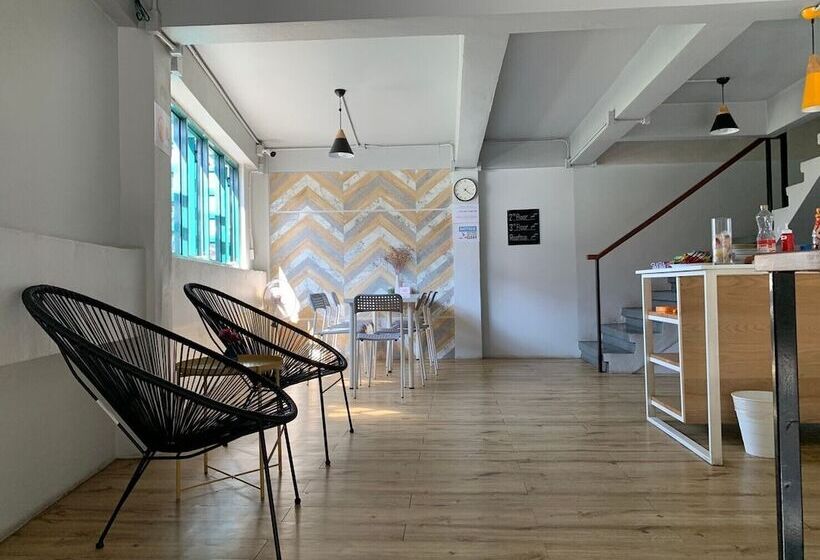 هتل Busket Hostel