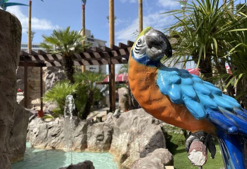 هتل Palms   Adults Only
