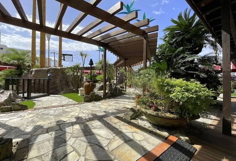 هتل Palms   Adults Only