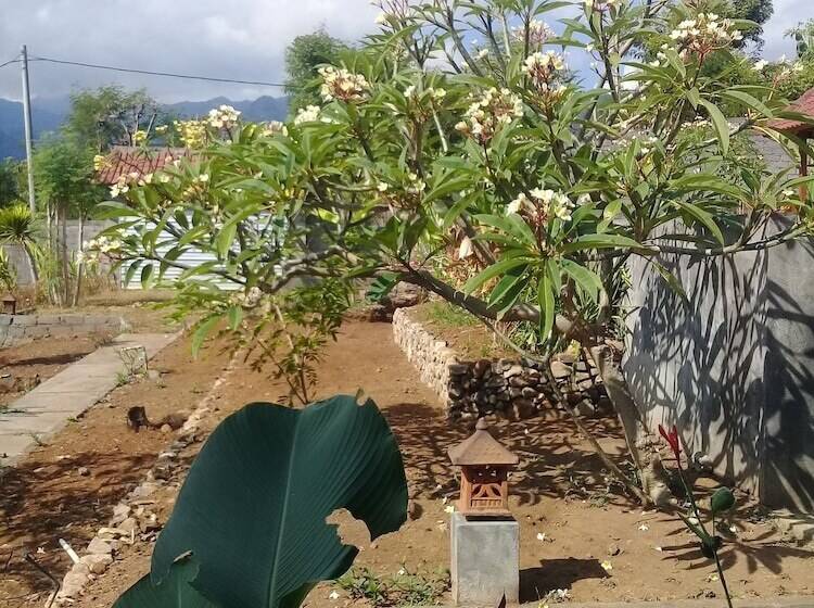 Bed and Breakfast Eliska Sari Bungalows Sumberkima