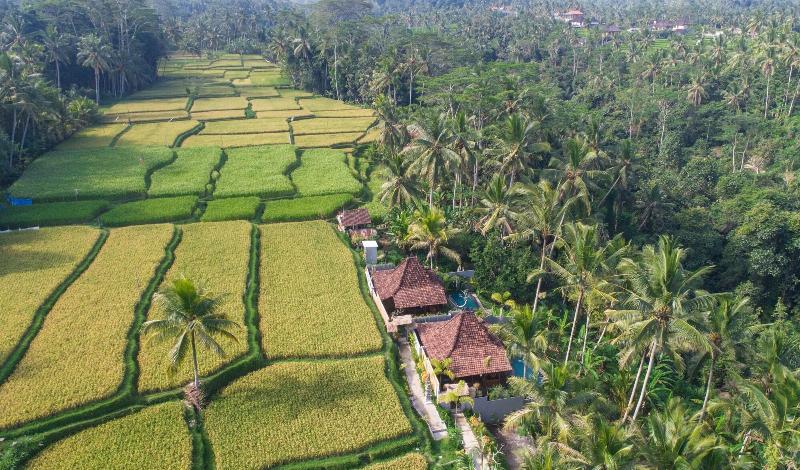 Bed and Breakfast Mandana Ubud Villa