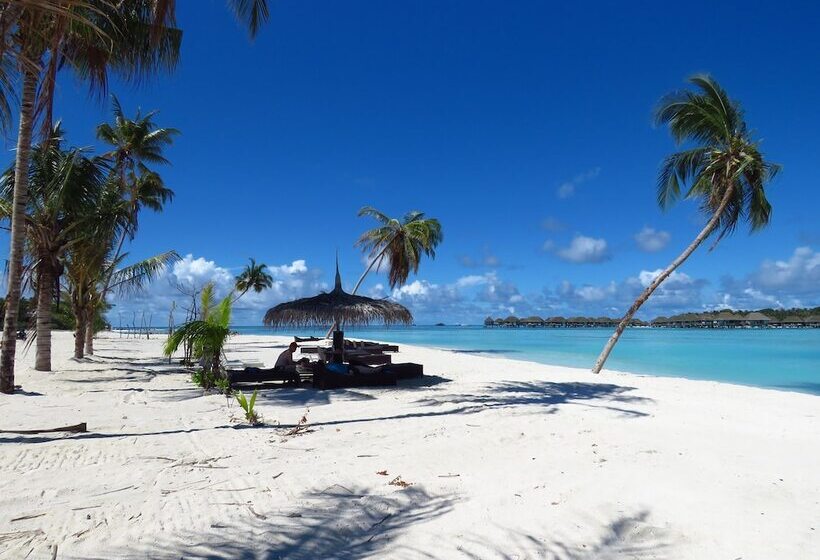 تختخواب و صبحانه The Sunrise Huraa