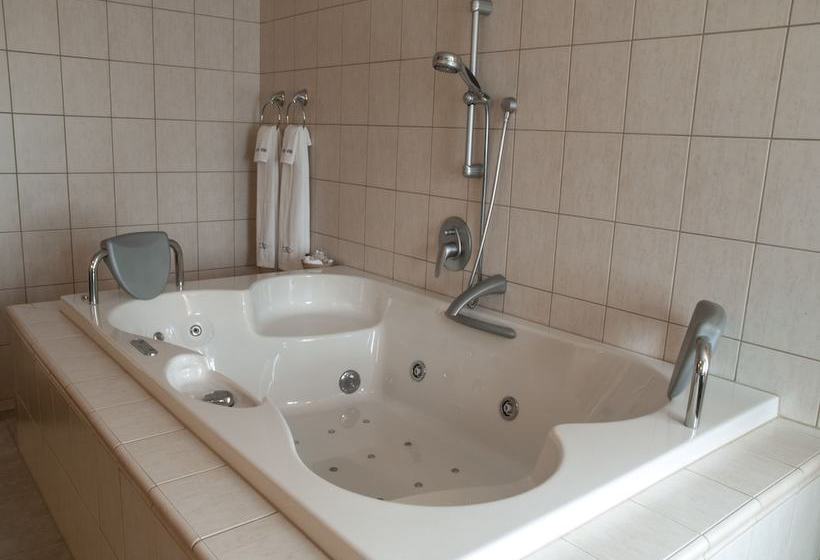 Отель Castle Větrov  Castle  Collection