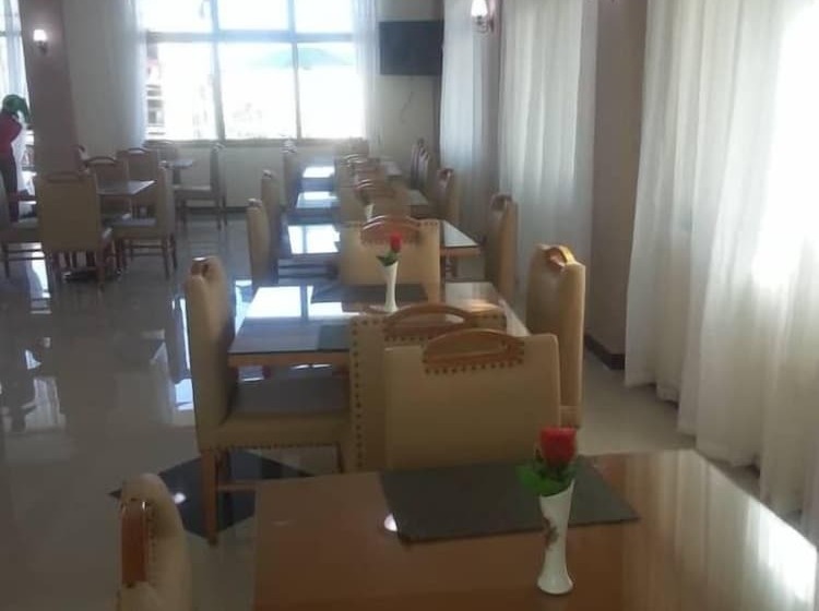 هتل Gondar Plaza