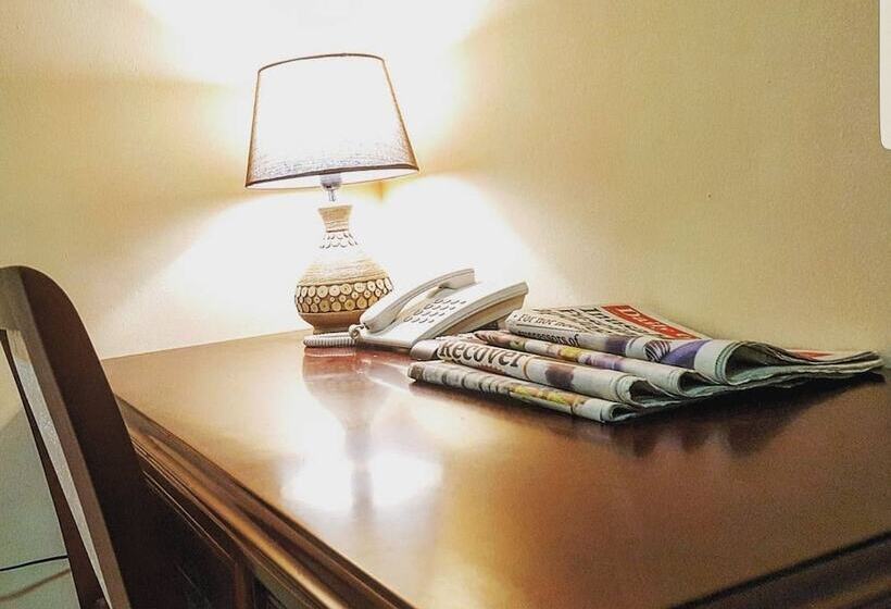 Fotos del hotel Mikaddo City Inn:  5