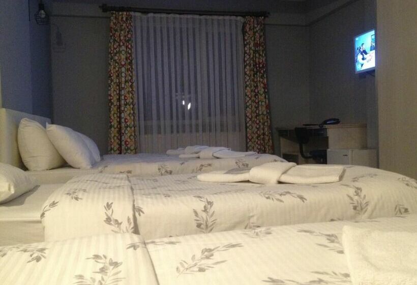 Samsun Otel