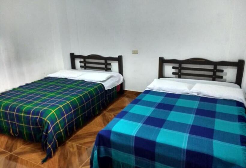 هاستل El Turista