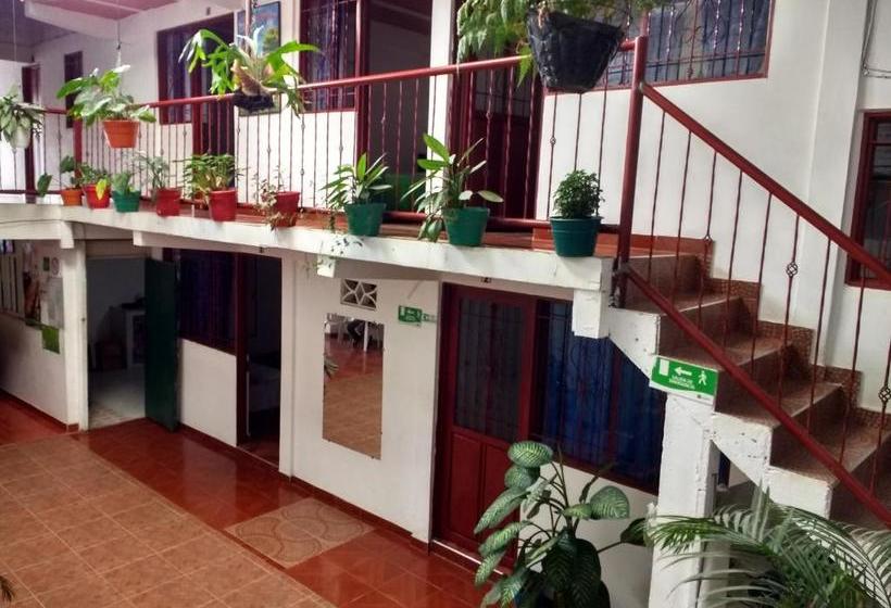 هاستل El Turista