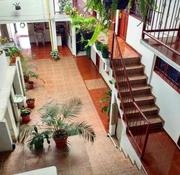 هاستل El Turista