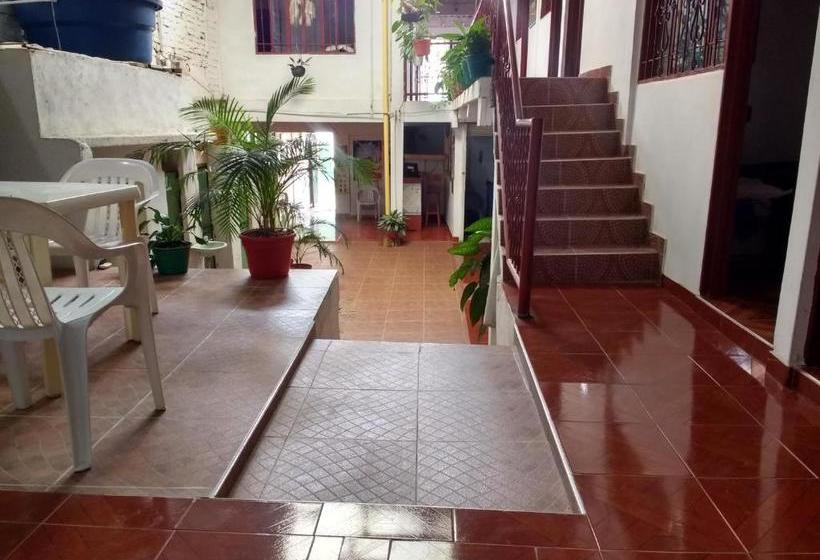 هاستل El Turista