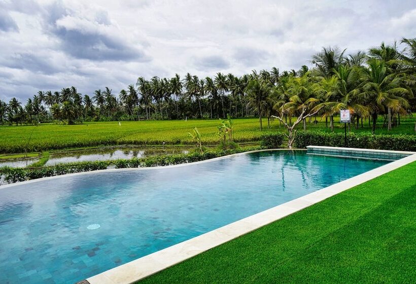 민박 Adil Villa And Resort